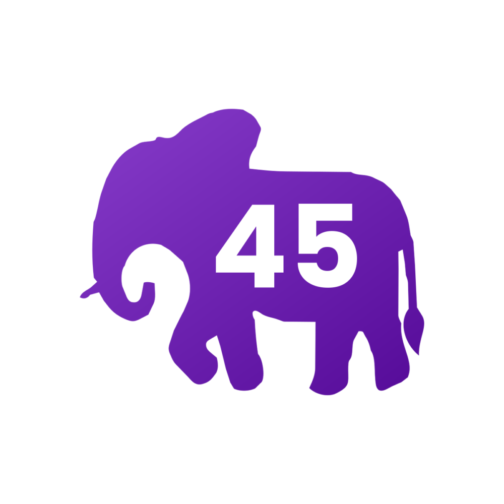 Norsu 45